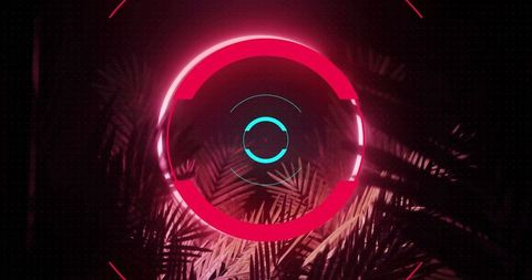 Futuristic Neon Circle with Palm Leaves Overlay
