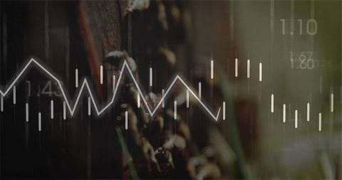 Coffee crop and financial chart linking agriculture and investment