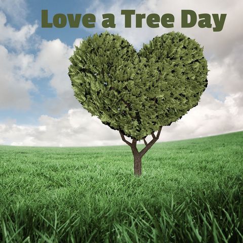 heart-shaped tree inspires love for nature conservation - Download Free Stock Templates Pikwizard.com