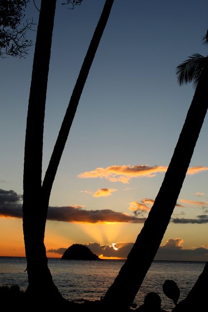 This image depicts a stunning tropical sunset with silhouetted palm trees framing an island in the distance. The vibrant colors of the setting sun are contrasted against the dark palm trees, creating a serene and picturesque scene. Ideal for travel advertisements, tropical vacation promotions, or nature-themed backgrounds to evoke a sense of tranquility and escape.
