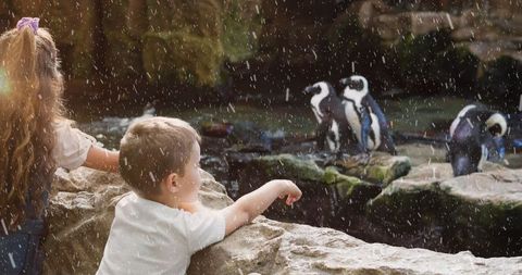 Children Watching Penguins with Snowfall in Outdoor Habitat