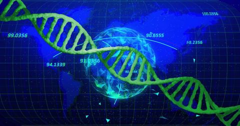 Digital Representation of DNA Strand and Global Data Network - Download Free Stock Images Pikwizard.com