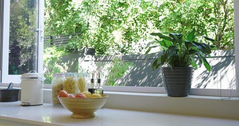 Bright Kitchen Counter with Fruit Bowl and Fresh Foliage through Sunlit Window