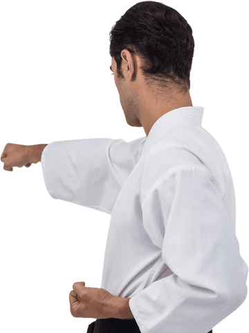 transparent karate fighter in action performing technique - Download Free Stock Videos Pikwizard.com