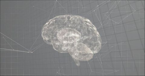 Futuristic Transparent Brain Model Displaying Network Nodes