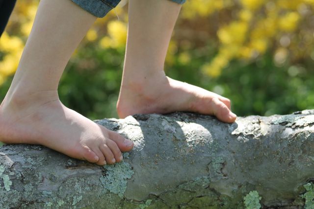 Child Balancing on Tree Branch in Nature - Download Free Stock Photos Pikwizard.com