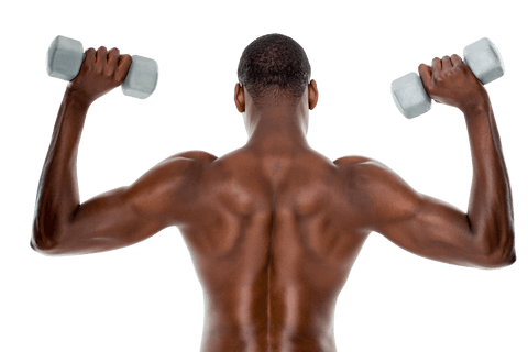 Rear View of Fit Man Lifting Dumbbells Transparent Background