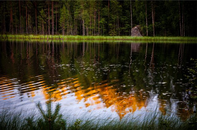 Forest lake reflecting colors of sunset in still water, creating tranquil and serene nature scene. Ideal for use in backgrounds, meditation visuals, nature-themed art and home decor, or travel promotion materials focusing on natural beauty and outdoor adventures.