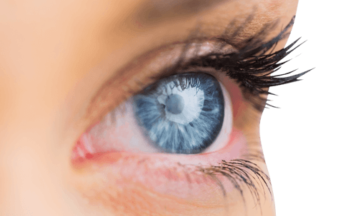 close-up of a transparent blue eye with long eyelashes - Download Free Stock Videos Pikwizard.com