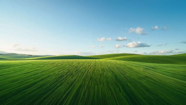 Stretching Green Crop Fields Rolling Toward Distant Horizon Under Clear Blue Sky