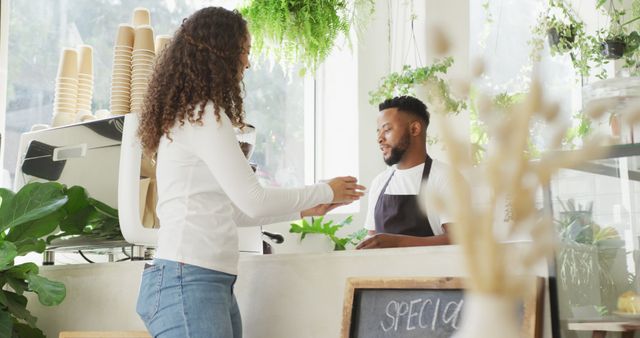 Customer Receiving Takeaway Coffee from Barista in Plant-Filled Coffee Shop - Download Free Stock Images Pikwizard.com