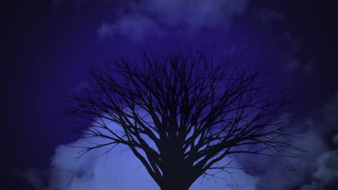 Abstract Silhouette of Leafless Tree Against Dark Cloudy Sky