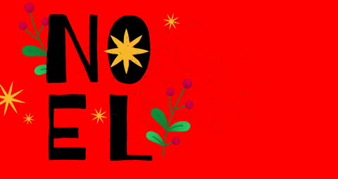 Festive Noel Holiday Text on Vibrant Red Background