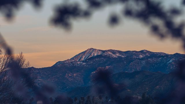 The image captures a golden sunset over a distant snowcapped mountain range, framed by blurred tree branches in the foreground. Ideal for use in nature documentaries, travel blogs, outdoor adventure promotions, and landscape photography collections.