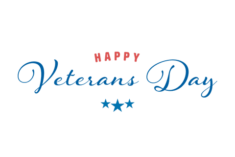 Elegant Happy Veterans Day Greeting on Transparent Background - Download Free Stock Videos Pikwizard.com