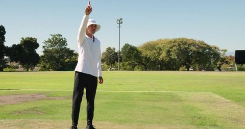 Cricket umpire raising finger signaling out during sunny daytime match on green pitch with stumps