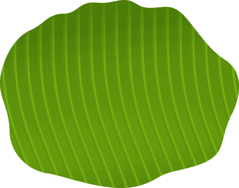 floating green leaf with transparent background featuring curved vein stripes - Download Free Stock Videos Pikwizard.com