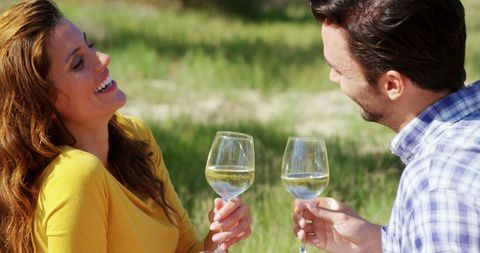 Happy Couple Enjoying Wine Picnic Outdoors - Download Free Stock Images Pikwizard.com