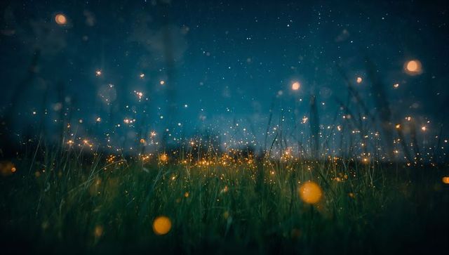 Enchanted Meadow with Glowing Fireflies Under Starry Sky
