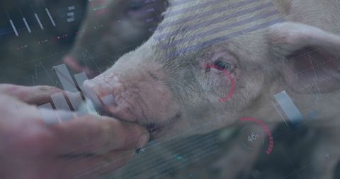 Data dashboard overlay with progress and food concepts on farm