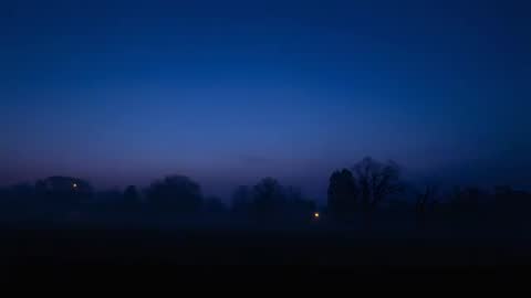 Twilight Deepening over Misty Treeline with Distant Lights Glowing