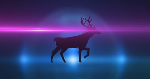Deer silhouette against vibrant neon lights radiates elegance
