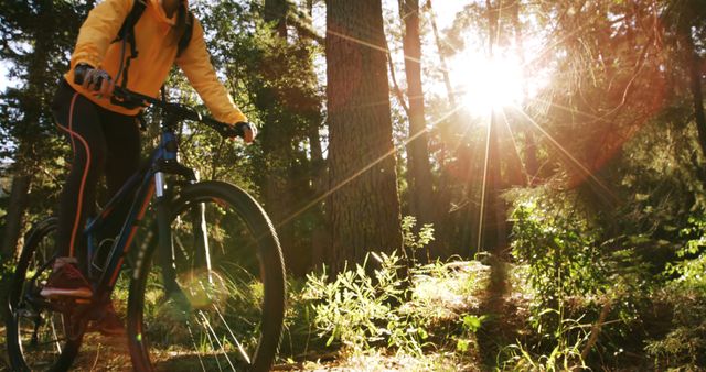 Person Mountain Biking Through Forest in Sunlight - Download Free Stock Images Pikwizard.com