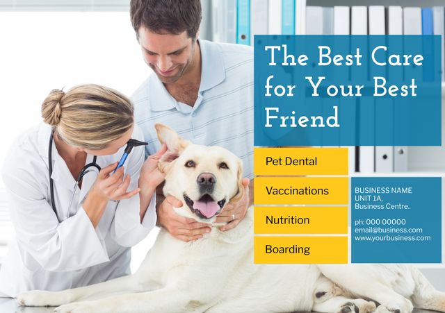 Friendly dog check-up ad promotes veterinary trust and care. from Pikwizard