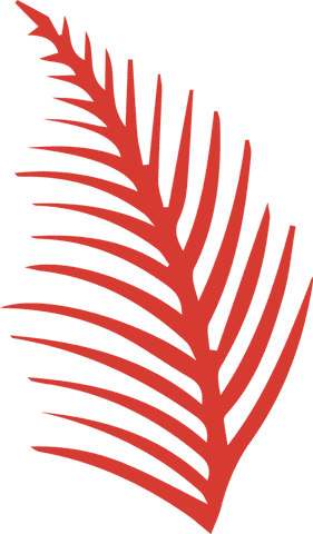 Red stylized palm frond silhouette floating on transparent background