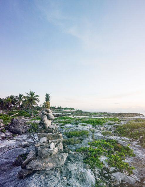 Coastal landscape showcasing a rocky shore with scattered greenery and distant palm trees under a calm sky. Ideal for themes of tranquility, nature, tropical travel, and outdoor exploration.