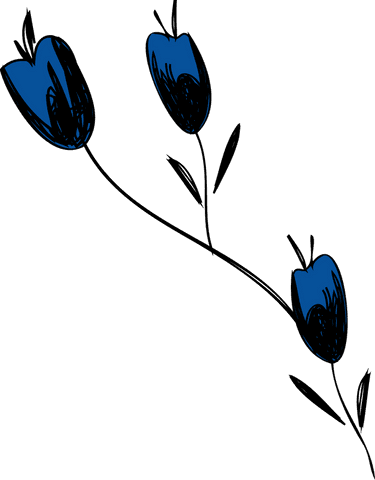Blue Tulip Buds with Stem on Transparent Background - Download Free Stock Videos Pikwizard.com