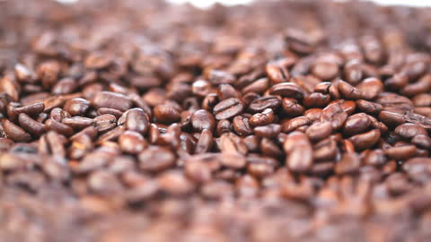 Close-Up View of Glossy Roasted Coffee Beans