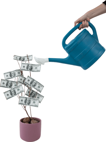 transparent watering can nurtures money tree prosperity - Download Free Stock Videos Pikwizard.com