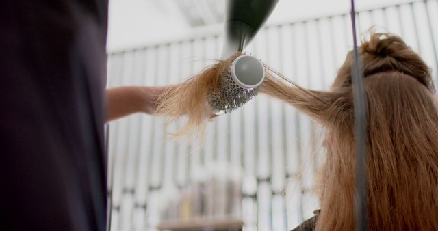 Hairdresser Blow Drying Woman's Hair with Round Brush in Salon - Download Free Stock Images Pikwizard.com