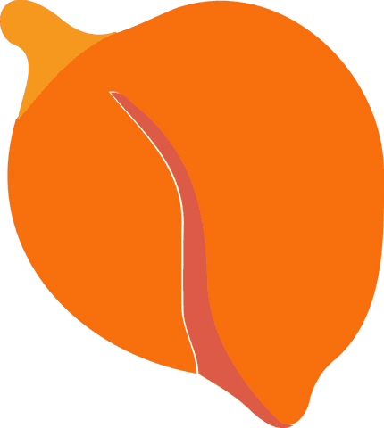 Flat Stylized Fruit Design on Transparent Background - Download Free Stock Videos Pikwizard.com