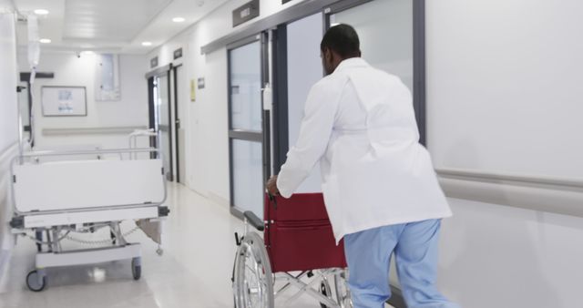 Doctor Pushing Wheelchair in Hospital Hallway - Download Free Stock Images Pikwizard.com