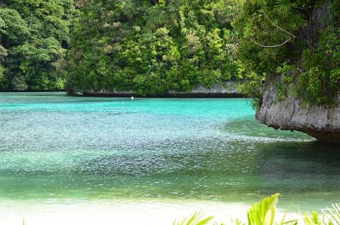 Tropical lagoon with lush greenery and crystal clear water