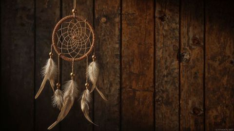 Bohemian dreamcatcher with feathers home decor against rustic wooden wall