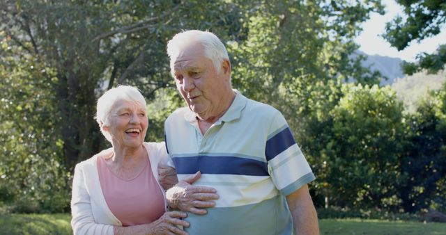 Happy Senior Couple Walking in Sunlit Park Enjoying Nature - Download Free Stock Images Pikwizard.com