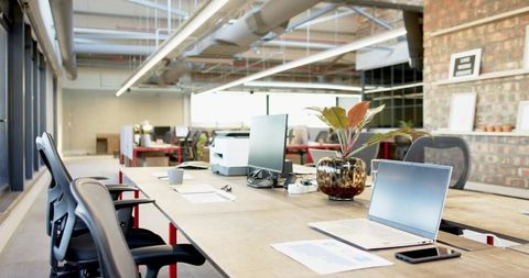 Modern coworking workspace featuring long wooden desk with laptop, plant and open layout