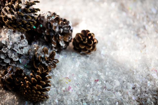 Pine cones resting on sparkling fake snow create a festive and rustic holiday atmosphere. Ideal for use in Christmas-themed designs, winter holiday promotions, seasonal greeting cards, and nature-inspired decor ideas.