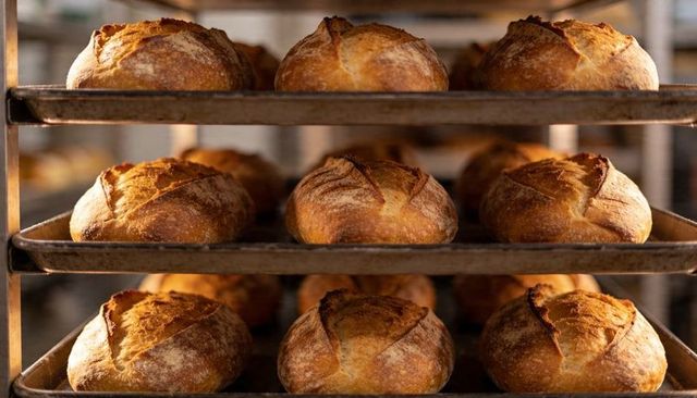 Sourdough boules cooling on steel racks with golden crust and flour-dusted trays