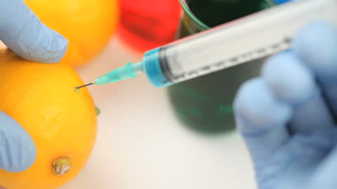 Scientist Injecting Substance into Lemon in Laboratory Experiment