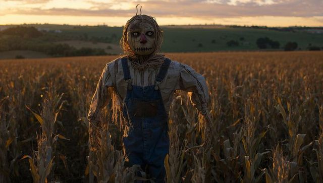 Scarecrow standing in cornfield at sunset