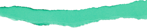 Green Torn Paper Edge on Transparent Background with Copy Space - Download Free Stock Videos Pikwizard.com