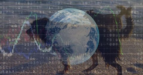 Global Data Integration with Animals at Beach