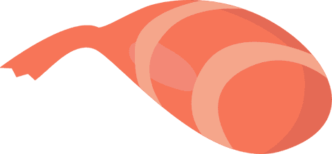 Stylized salmon fillet slice on transparent backdrop