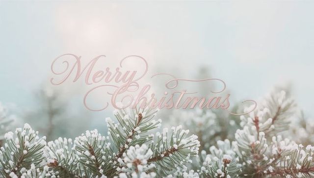 Frosted pine branches sparkling with soft merry christmas script and pastel bokeh