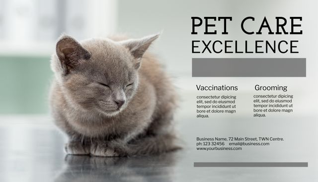 Ideal for promoting pet health services, veterinary clinics, and pet wellness programs. Displaying a relaxed cat can enhance the message of professional and compassionate care provided. Useful for pet clinics advertising their vaccination and grooming services to attract pet owners looking for quality and comprehensive pet care.