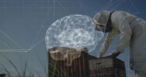 Beekeeper inspecting hive using hive tool with holographic brain overlay agritech